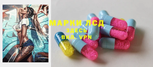 дживик Новозыбков