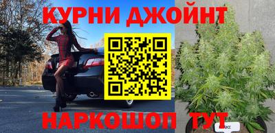 трава Моздок