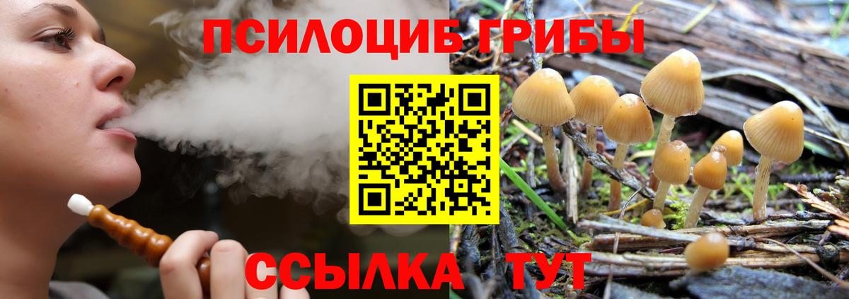 Галлюциногенные грибы мицелий Учалы